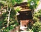 小山田家住宅主屋