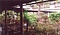 花屋ホテル東渡廊下