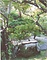 和泉市久保惣記念美術館茶室井筒