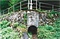 上斎原発電所池河川水路沈砂池