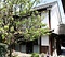 塩屋醸造うわみせ