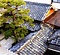 中小路家住宅離れ及び内門