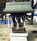 泊神社末社種子神社本殿