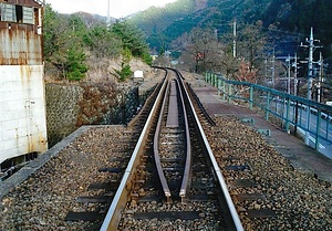 わたらせ渓谷鐵道通洞橋梁 わたらせけいこくてつどうつうどうきょうりょう