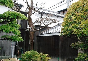 梶原家住宅隅蔵 かじわらけじゅうたくすみぐら