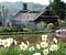 佐藤家住宅（新潟県北魚沼郡守門村）