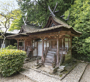 圓成寺 白山堂