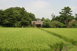 和井田家住宅（埼玉県八潮市大字八條） 長屋門 わいだけじゅうたく ながやもん