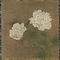 絹本著色紅白芙蓉図
