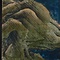 紙本金地著色檜図〈／四曲屏風〉