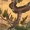紙本金地著色檜図〈／四曲屏風〉