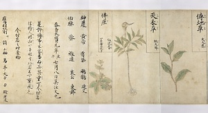 紙本著色馬医草紙 