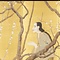 絹本金地著色弱法師図〈下村観山筆／六曲屏風〉