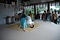 平戸神楽