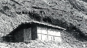 奈良田の焼畑習俗 ならだのやきはたしゅうぞく