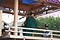 南宮神社の神事芸能