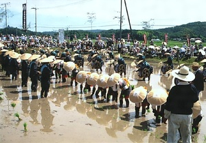 はやし田 はやしだ