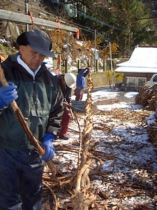 蔓橋の製作工程 かずらばしのせいさくこうてい