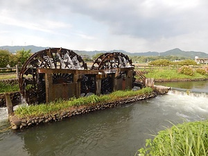 筑前・筑後の水車習俗 ちくぜん・ちくごのすいしゃしゅうぞく