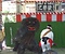 多良間島の八月踊