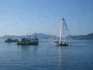 隠岐西ノ島のシャーラブネ おきにしのしまのしゃーらぶね