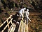 中津川の鉄砲堰製作技術