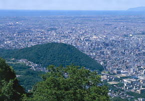 円山原始林