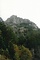 縫道石山・縫道石の特殊植物群落