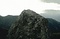 縫道石山・縫道石の特殊植物群落