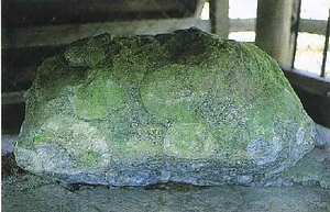 球状閃緑岩