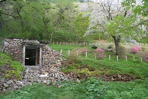 長走風穴高山植物群落 ながばしりふうけつこうざんしょくぶつぐんらく