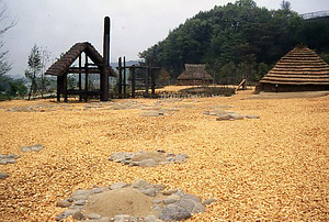 矢瀬遺跡