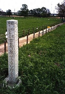 田島ヶ原サクラソウ自生地 たじまがはらさくらそうじせいち
