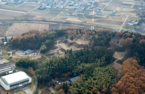 比企城館跡群<br />
　菅谷館跡<br />
　松山城跡<br />
　杉山城跡<br />
　小倉城跡