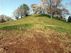 龍角寺古墳群・岩屋古墳 りゅうかくじこふんぐん・いわやこふん