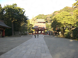 鶴岡八幡宮境内 つるがおかはちまんぐうけいだい
