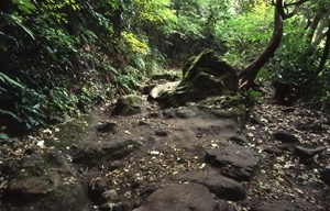 仮粧坂