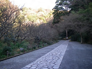 瑞泉寺境内 ずいせんじけいだい