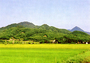 平林城跡