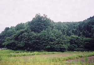 奥山荘城館遺跡 おくやまのしょうじょうかんいせき