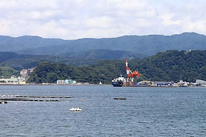 金ヶ崎城跡