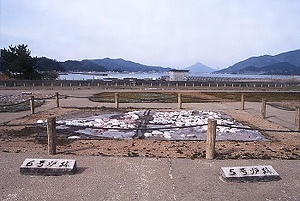岡津製塩遺跡