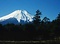 山中のハリモミ純林