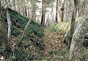 要害山 ようがいさん