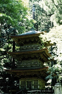 光前寺庭園 こうぜんじていえん
