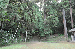 八幡野八幡宮・来宮神社社叢 やわたのはちまんぐうきのみやじんじゃしゃそう