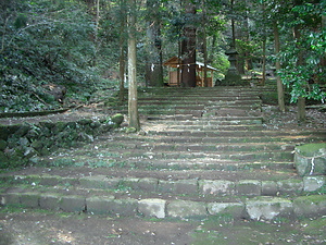 八幡野八幡宮・来宮神社社叢 やわたのはちまんぐうきのみやじんじゃしゃそう