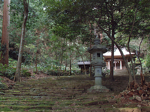 八幡野八幡宮・来宮神社社叢 やわたのはちまんぐうきのみやじんじゃしゃそう