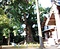杉桙別命神社の大クス