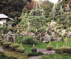 青岸寺庭園